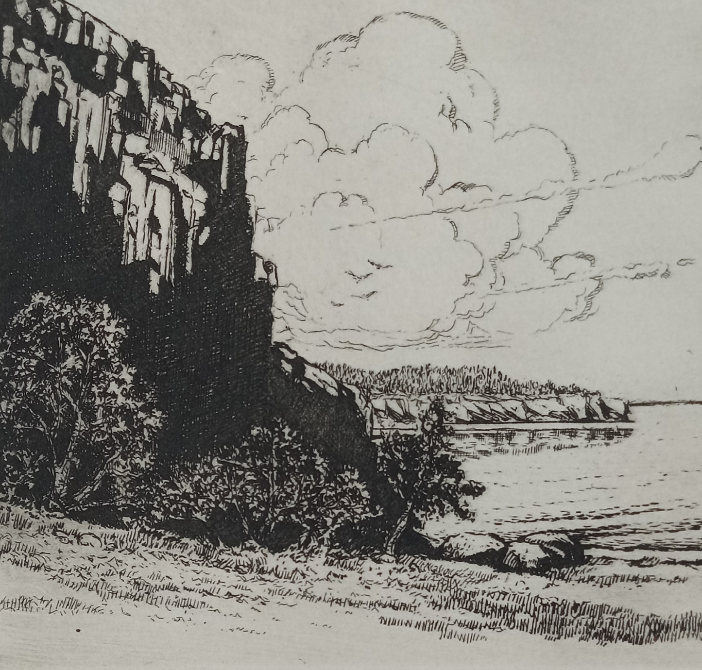 Intro to Pen & Ink 12+