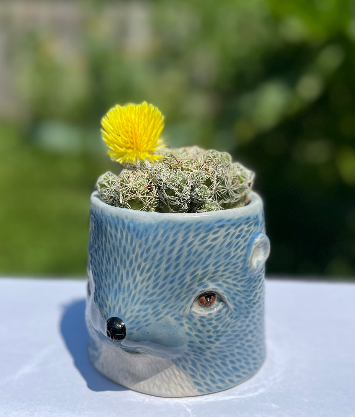 Sat. Jan 23 & 30 | Animal Planters Ages 6-12