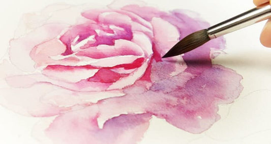 Watercolor Roses 12+