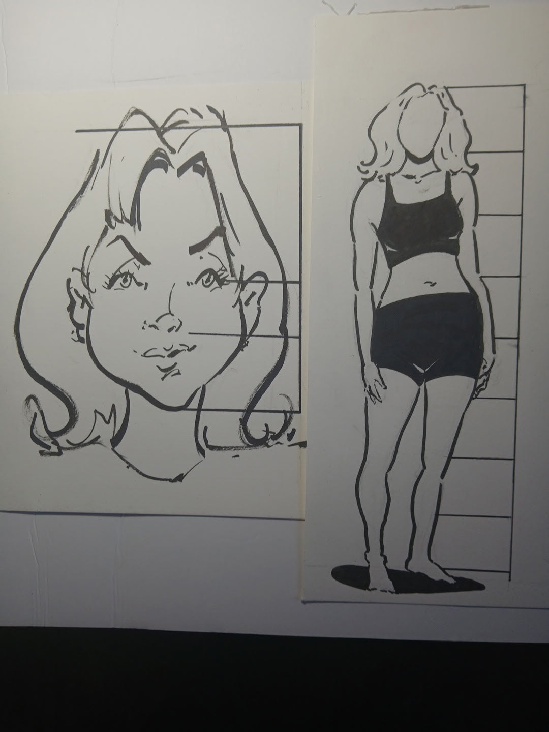 Drawing 101: Proportions 14+