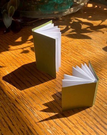 Accordion Books 10+ (2 sessions)