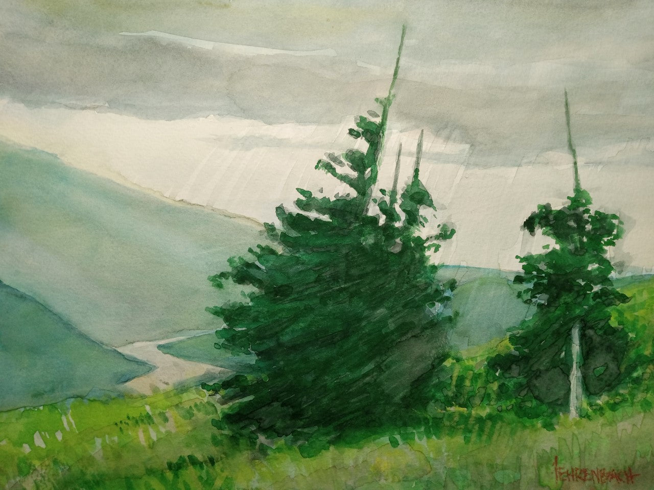 Intro to Watercolor Summer Camp Ages 14-18