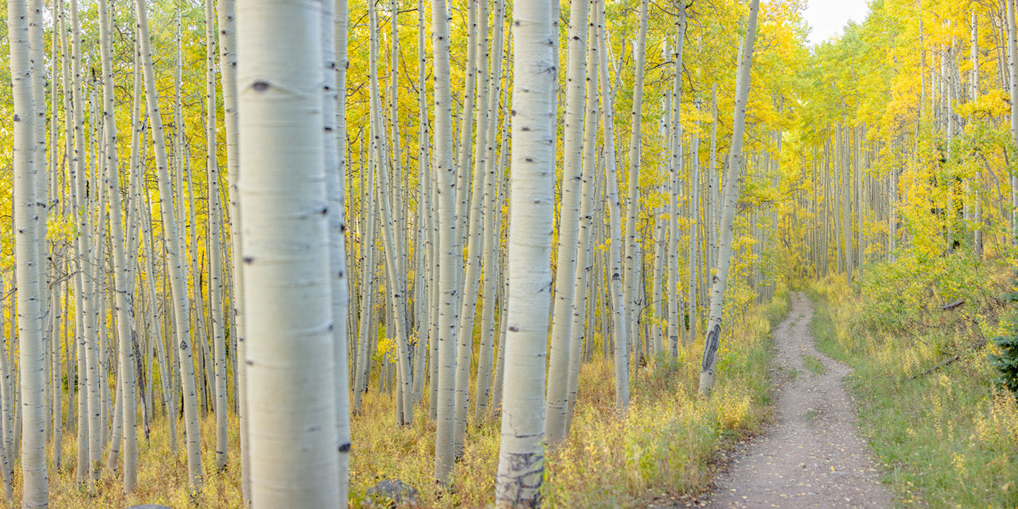 Seeing with your Photographic Eye 12+