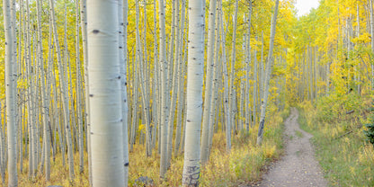 Seeing with your Photographic Eye 12+