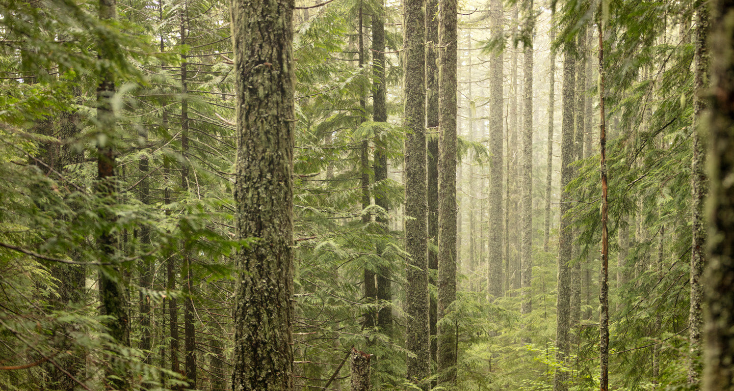 Seeing with your Photographic Eye 12+