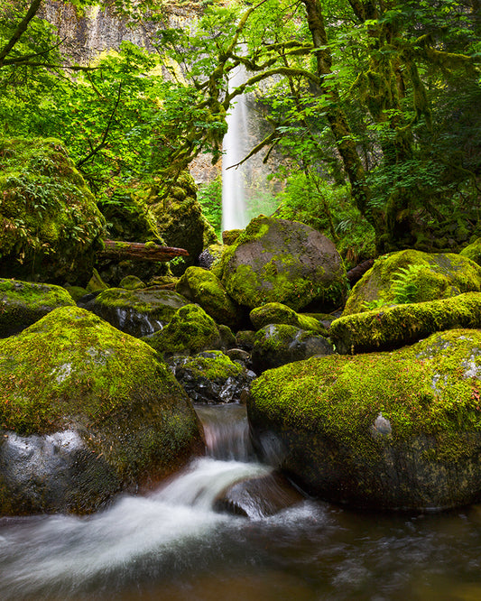 Seeing with your Photographic Eye 12+