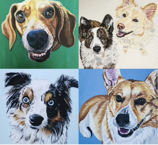 Paint Your Pet Acrylic 12+