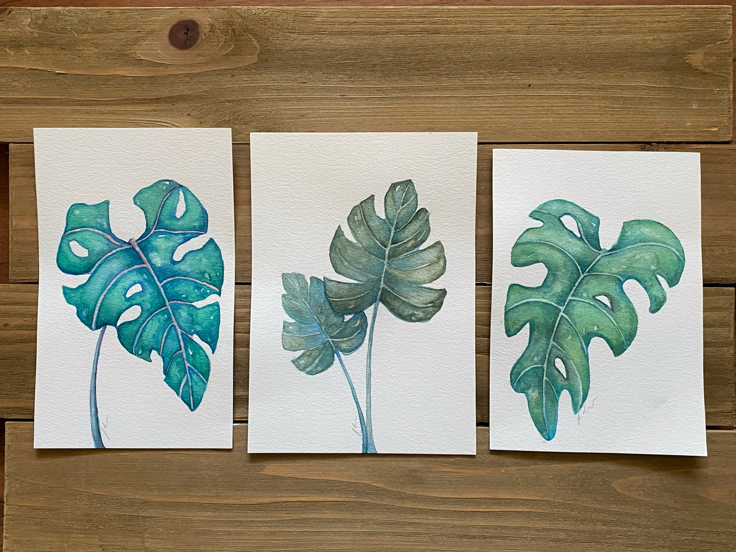 Watercolor Monsteras 12+