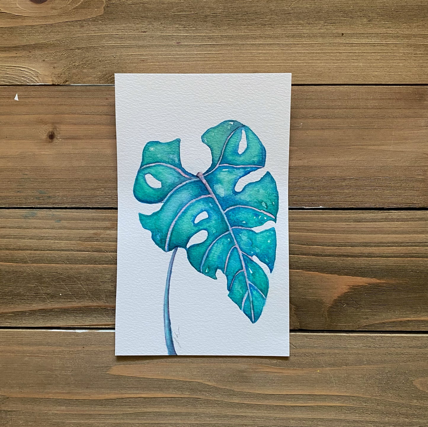 Watercolor Monsteras 12+