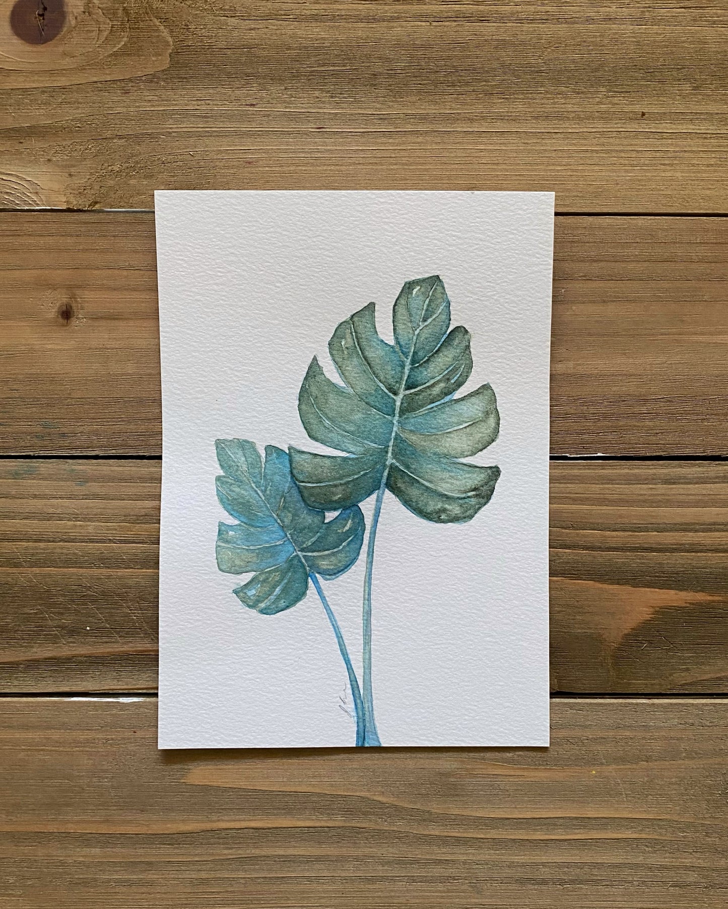 Watercolor Monsteras 12+