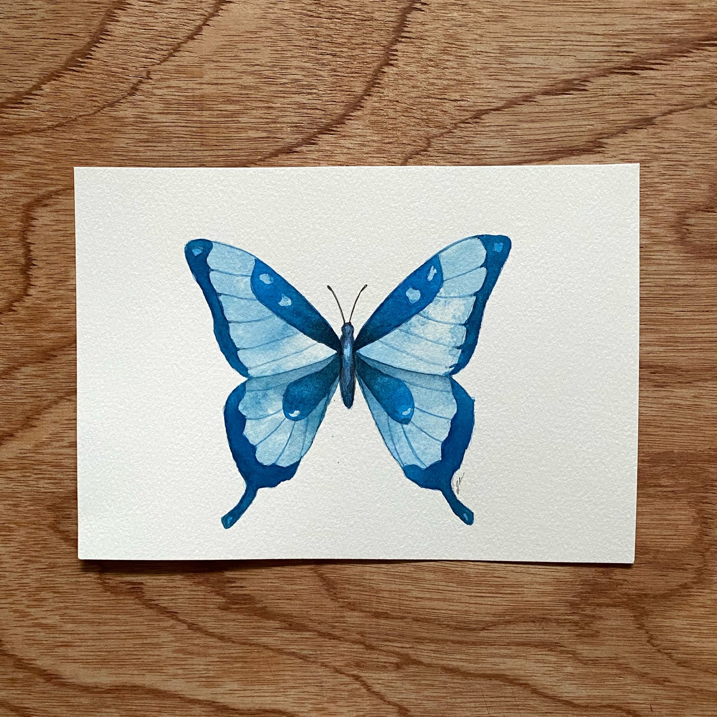 Watercolor Butterflies 12+