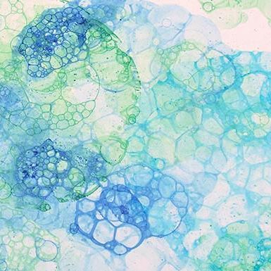 Sat, Jun 20 | Family Studio: Bubble Printing