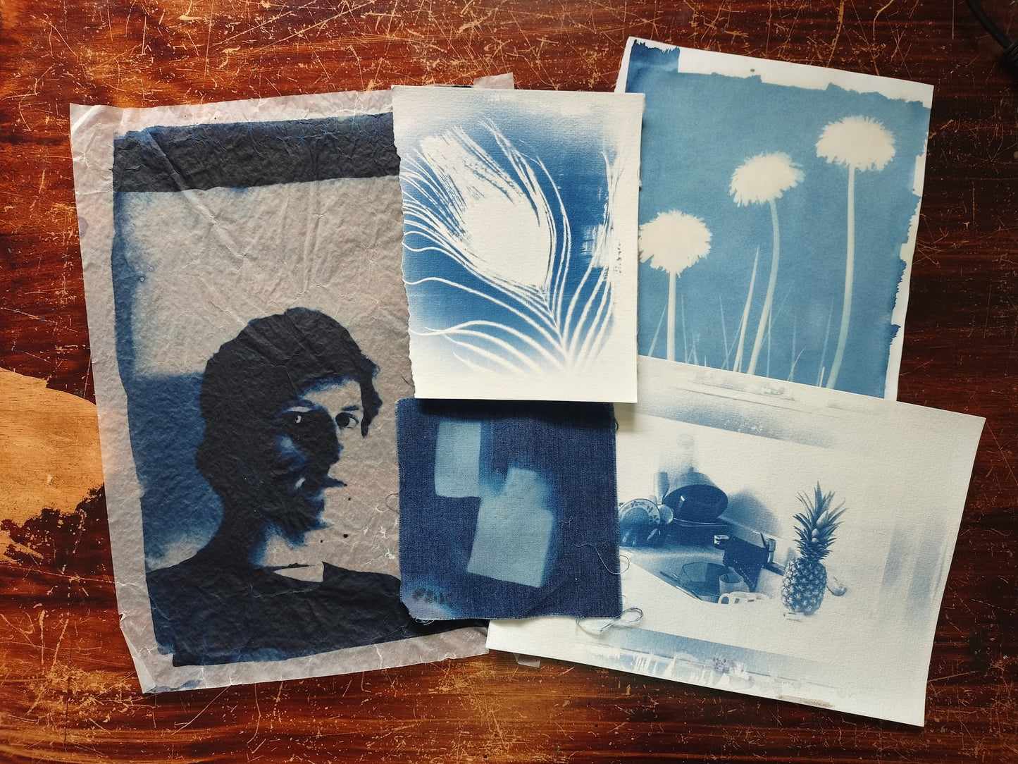 Cyanotypes Printmaking 10+