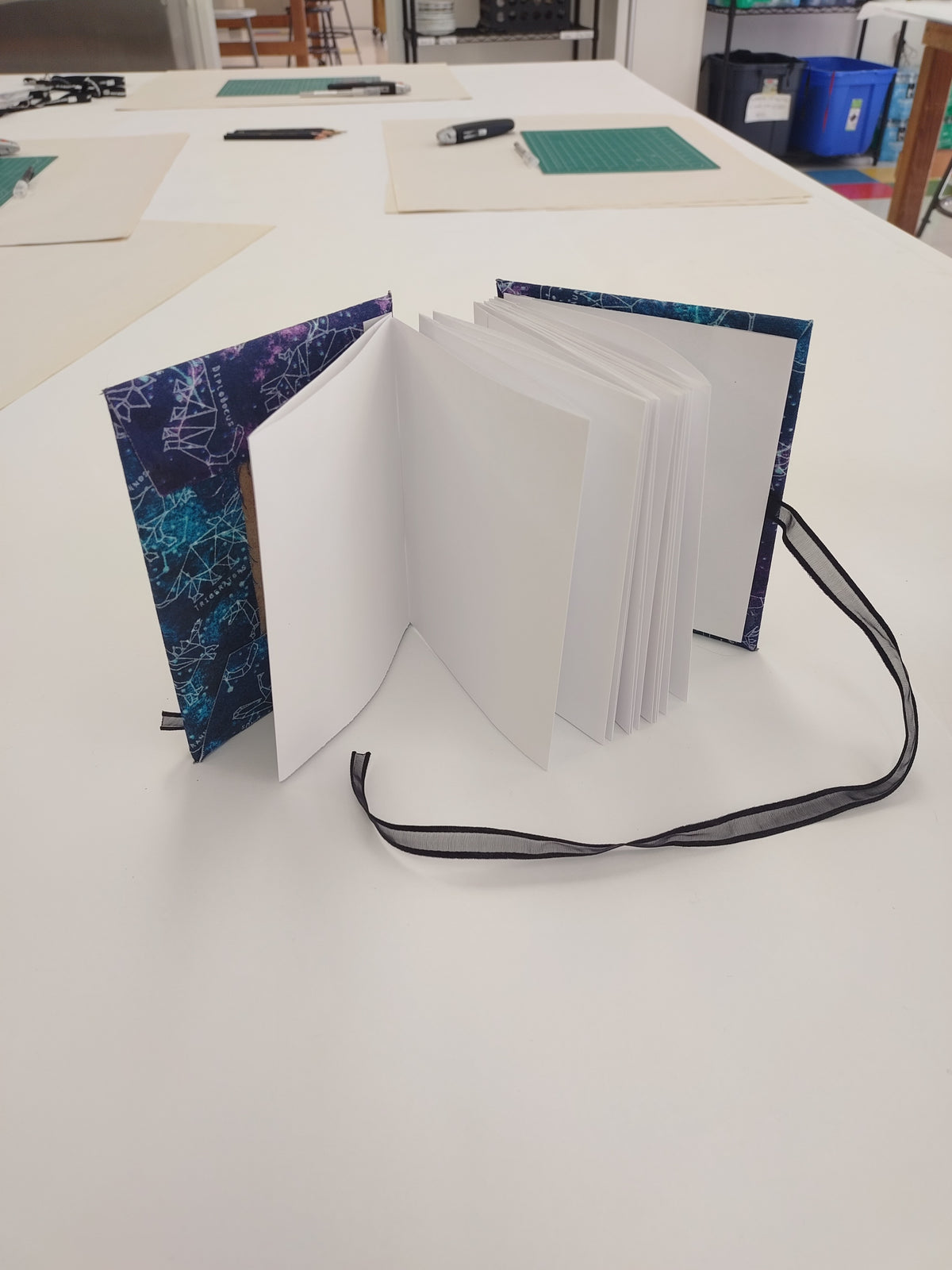 Wed, Nov 11 & 18 | Soft Covered Accordion Books 12+