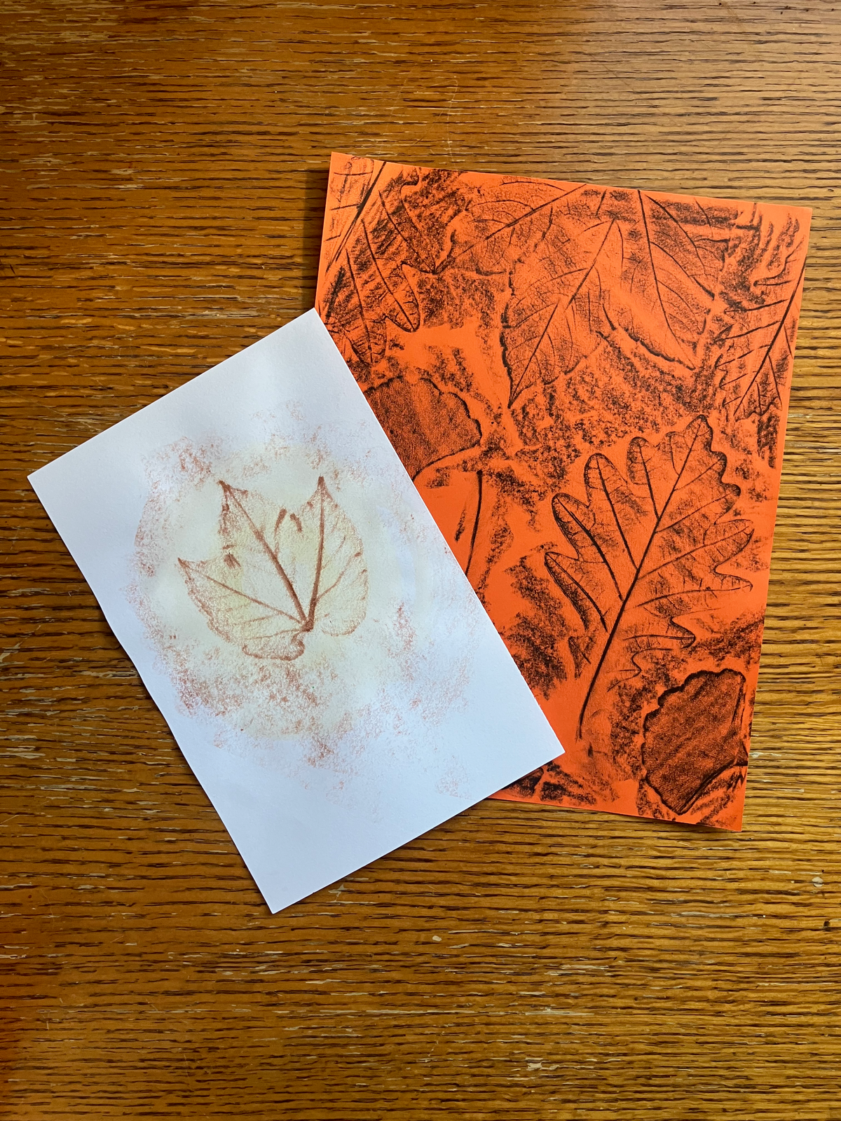Sat. Oct. 17 | Family Studio Leaf Rubbings
