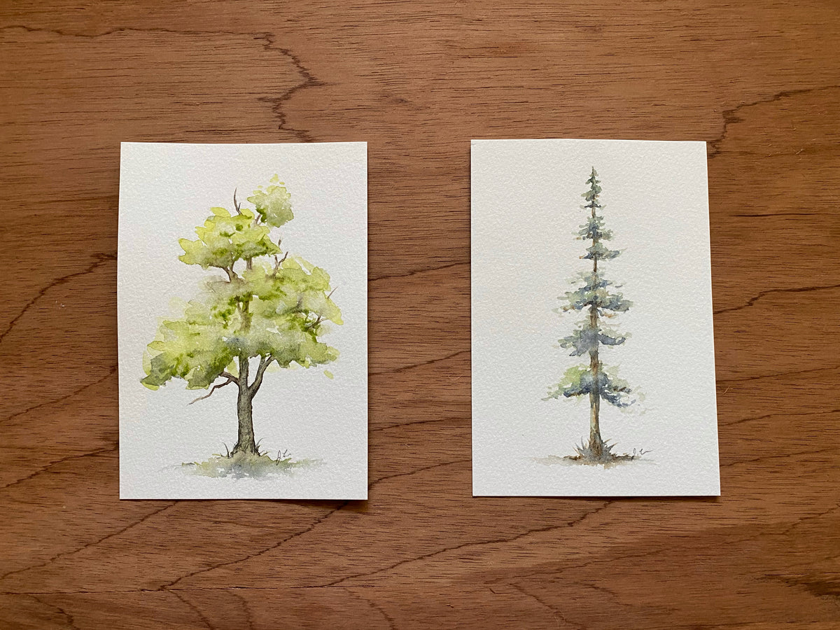 Thurs Feb.11 | Watercolor Trees 12+