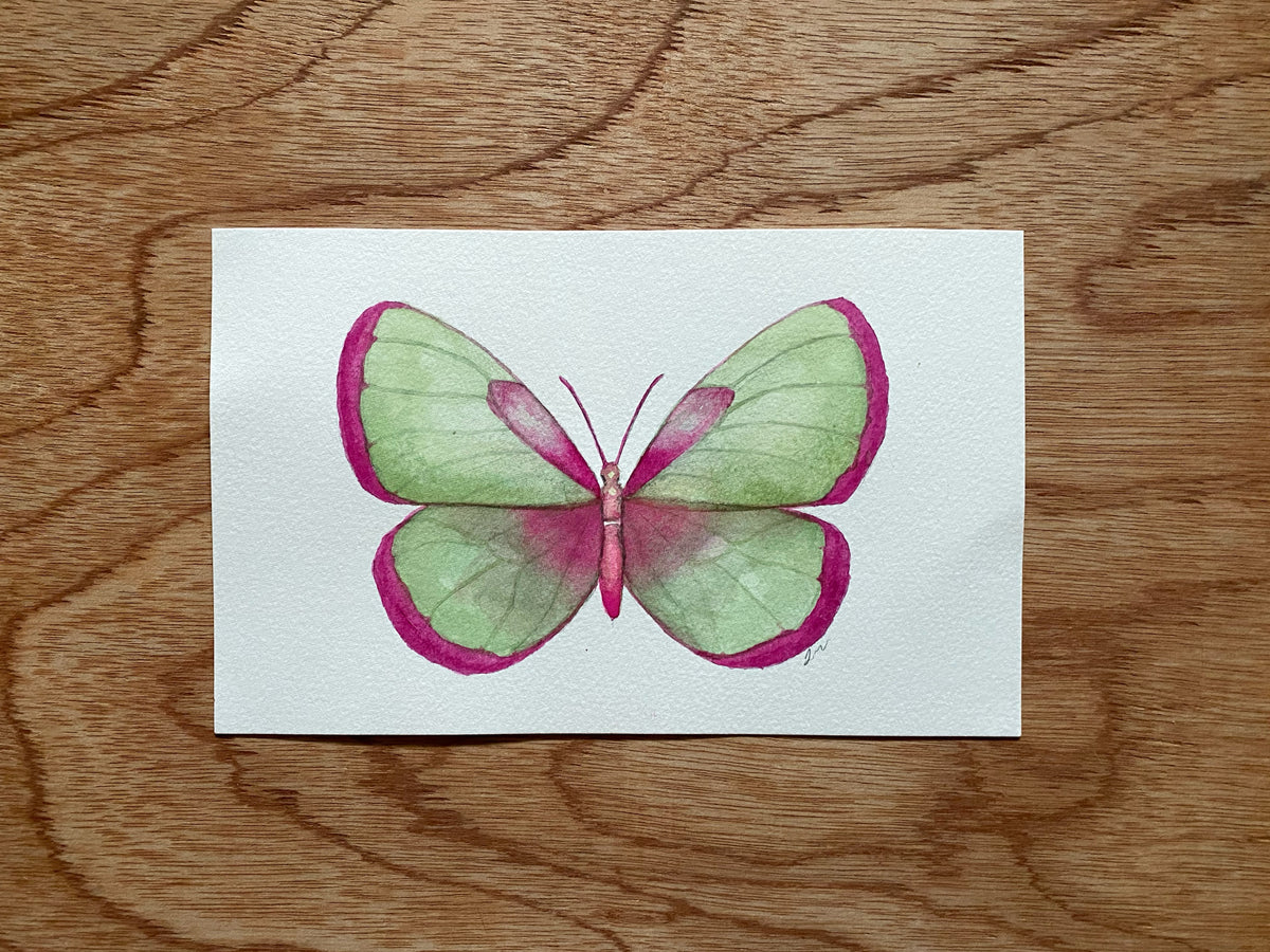 Thurs March 18 | Watercolor Butterflies 12+