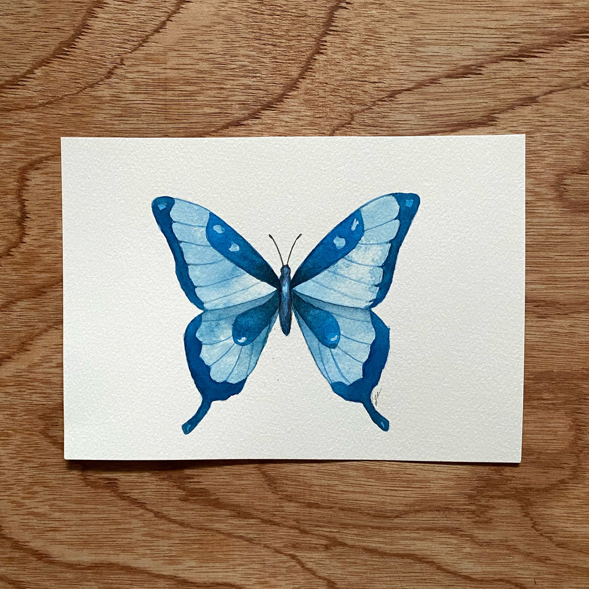 Thurs March 18 | Watercolor Butterflies 12+