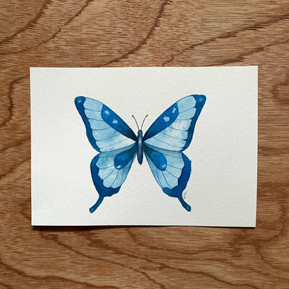 Thurs March 18 | Watercolor Butterflies 12+