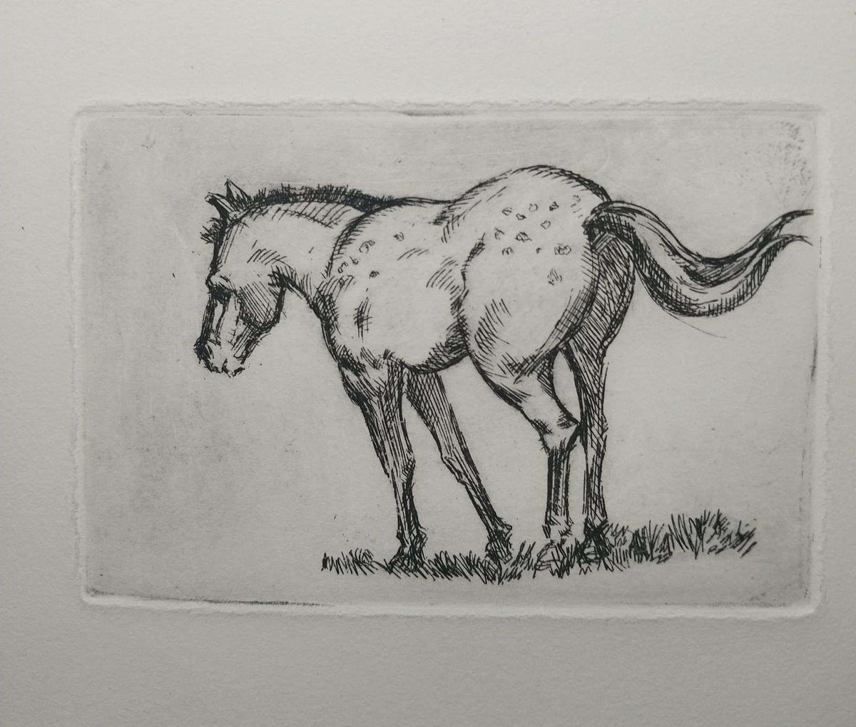 Thurs. March 25 | Drawing Horses 10+