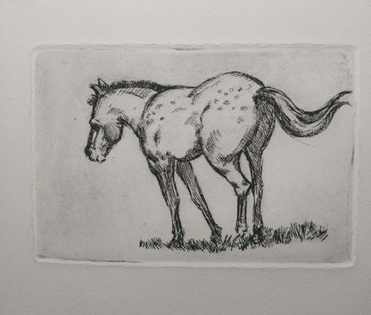 Thurs. March 25 | Drawing Horses 10+