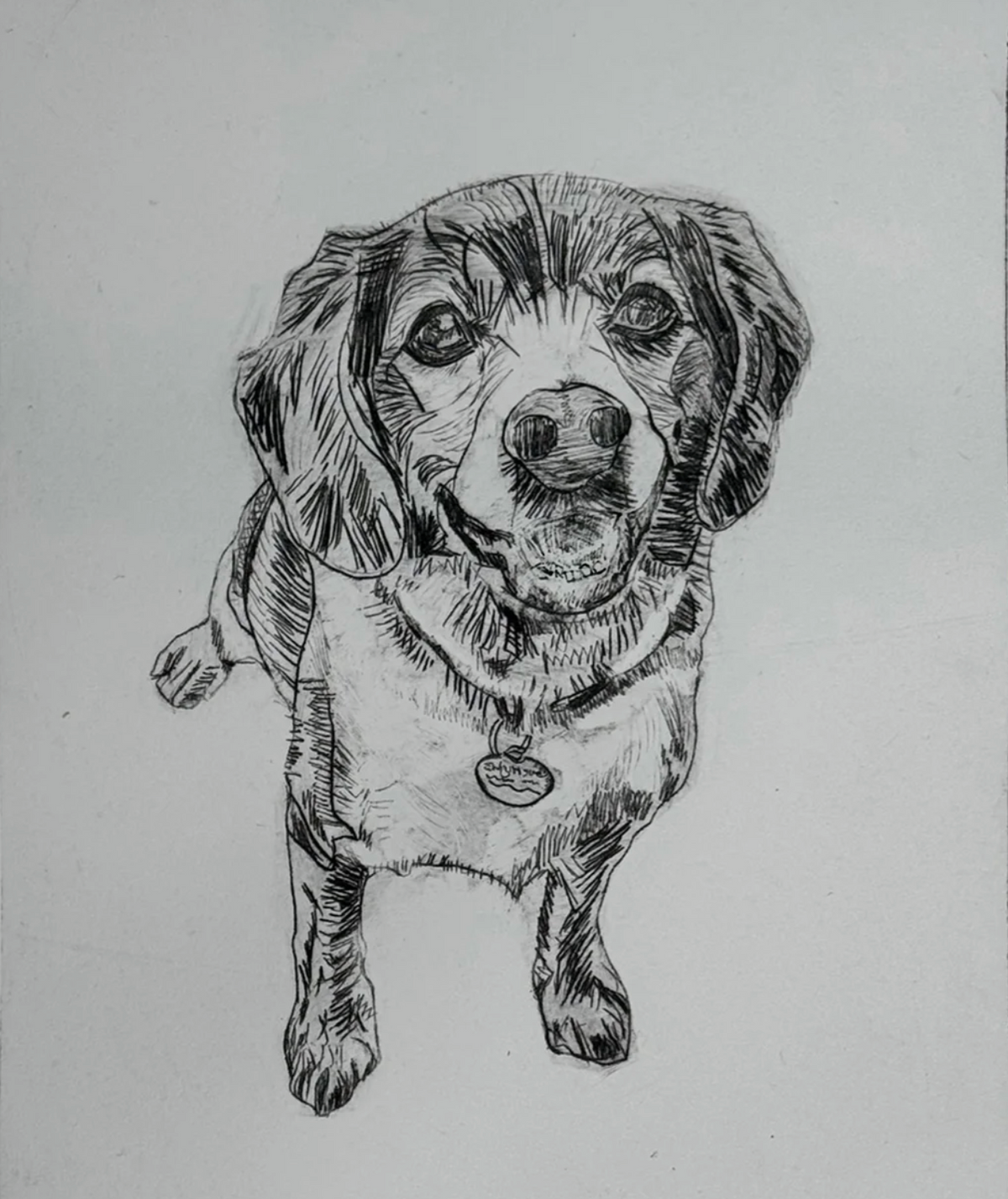 Thursdays March 4 & 11 |  Drypoint Pet Portraits 12+