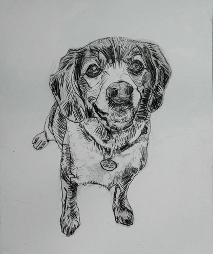 Thursdays March 4 & 11 |  Drypoint Pet Portraits 12+