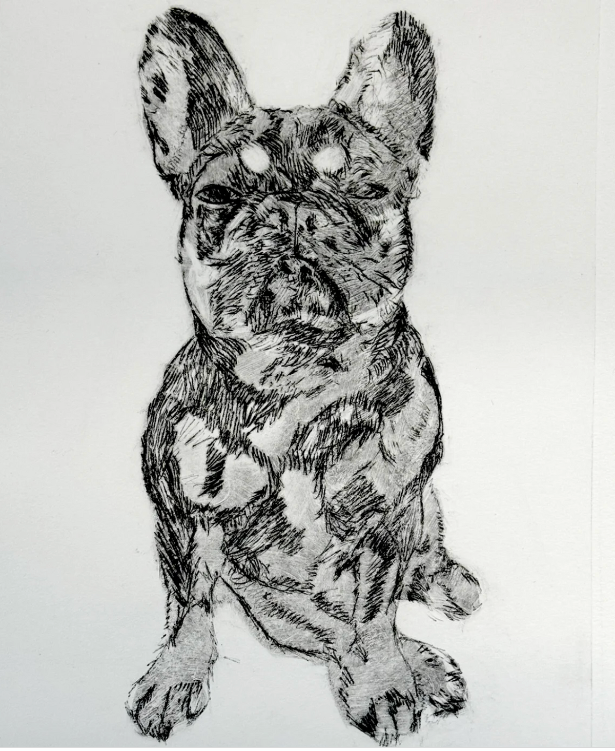 Thursdays March 4 & 11 |  Drypoint Pet Portraits 12+